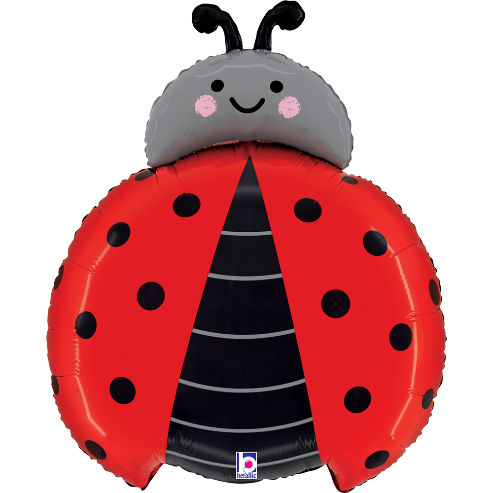 06 shape insetti Lady Bug (NEW) 

Size
24" / 48x59 cm